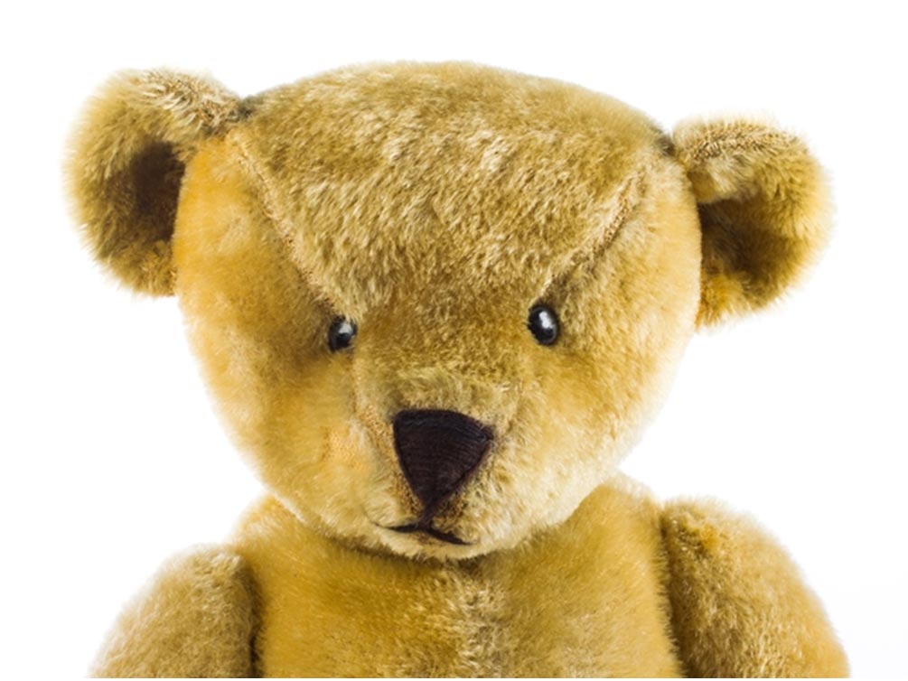 Teddy bear